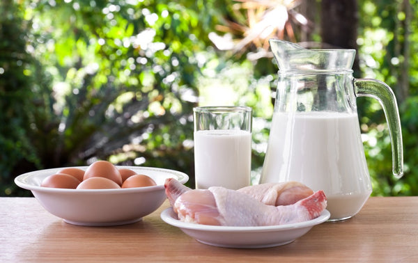 Understanding The Daily Calcium Requirement To Stay Healthy