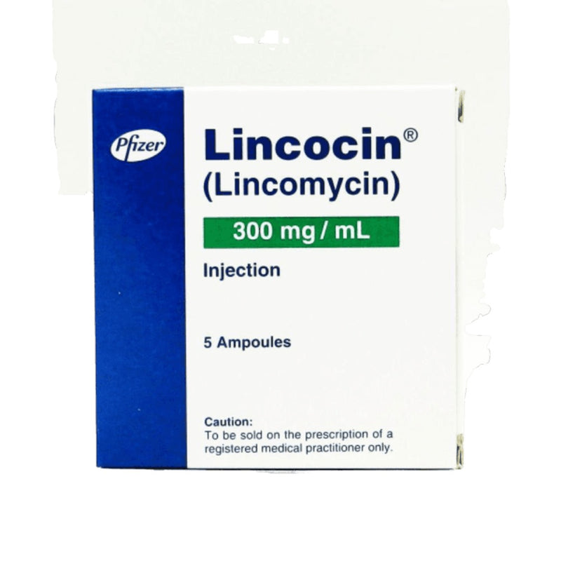 Lincocin Inj 300mg 5Ampx1ml
