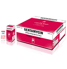 Gentamicin Sulphate Inj 80Mg