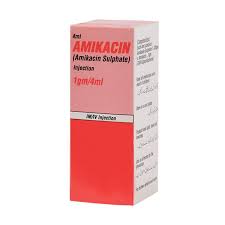 Amikacin Inj 1Gm